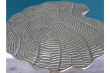 Leaf Side Table - 8225