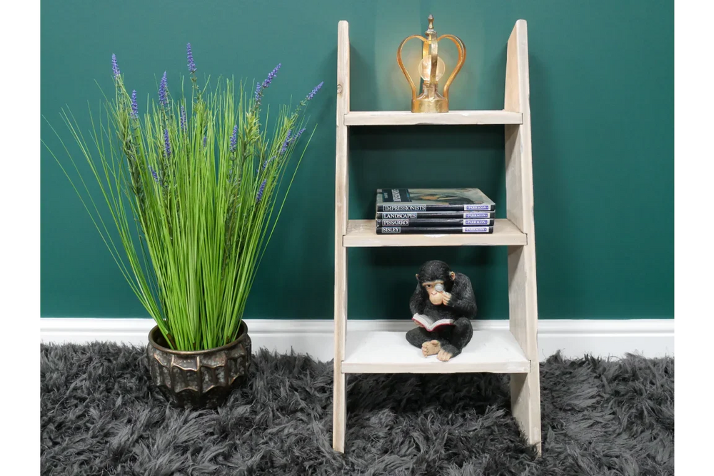 Decorative Ladder - 8236