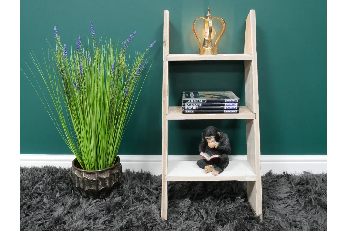 Decorative Ladder - 8236