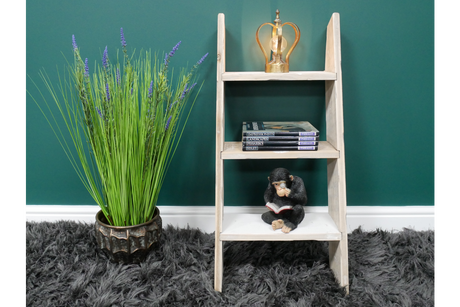 Decorative Ladder - 8236