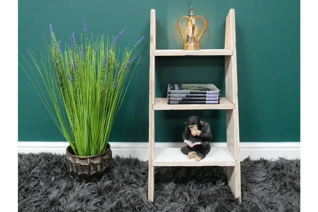 Decorative Ladder - 8236