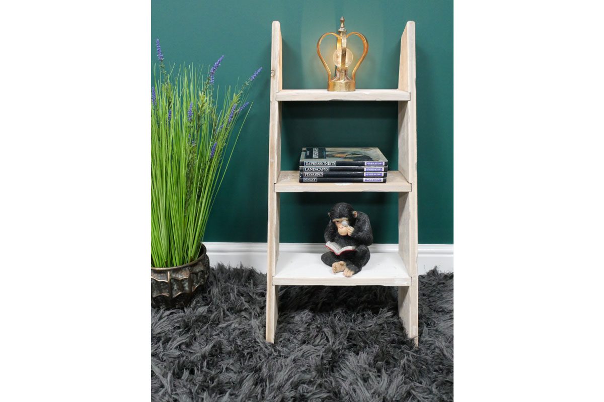 Decorative Ladder