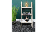Decorative Ladder