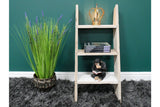 Decorative Ladder