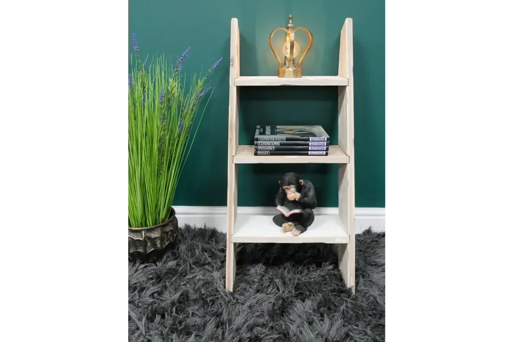 Decorative Ladder - 8236