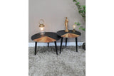 Set Of Two Coffee Tables