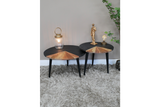 Set Of Two Coffee Tables - 8670
