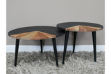 Set Of Two Coffee Tables - 8670