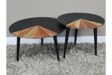 Set Of Two Coffee Tables - 8670