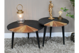 Set Of Two Coffee Tables - 8670