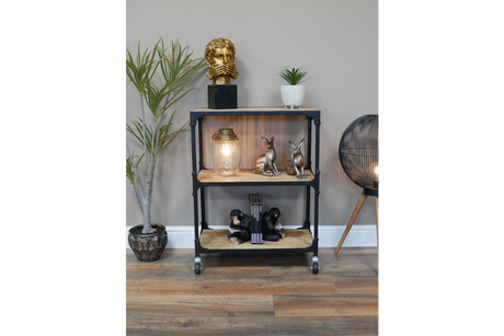 Industrial Shelves - 8807