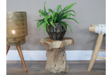 Root Side / Plant Stand - 8836