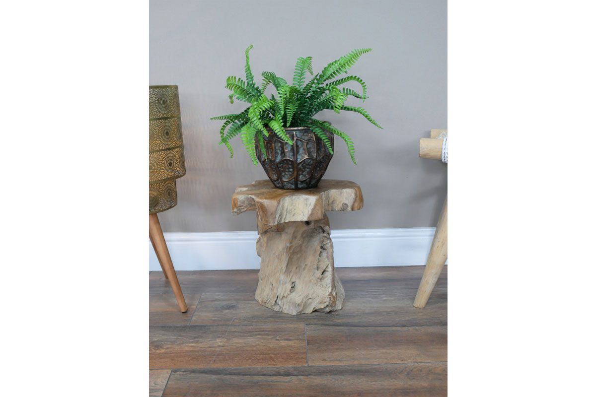 Root Side / Plant Stand