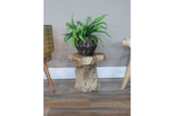 Root Side / Plant Stand