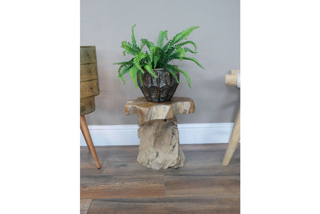 Root Side / Plant Stand