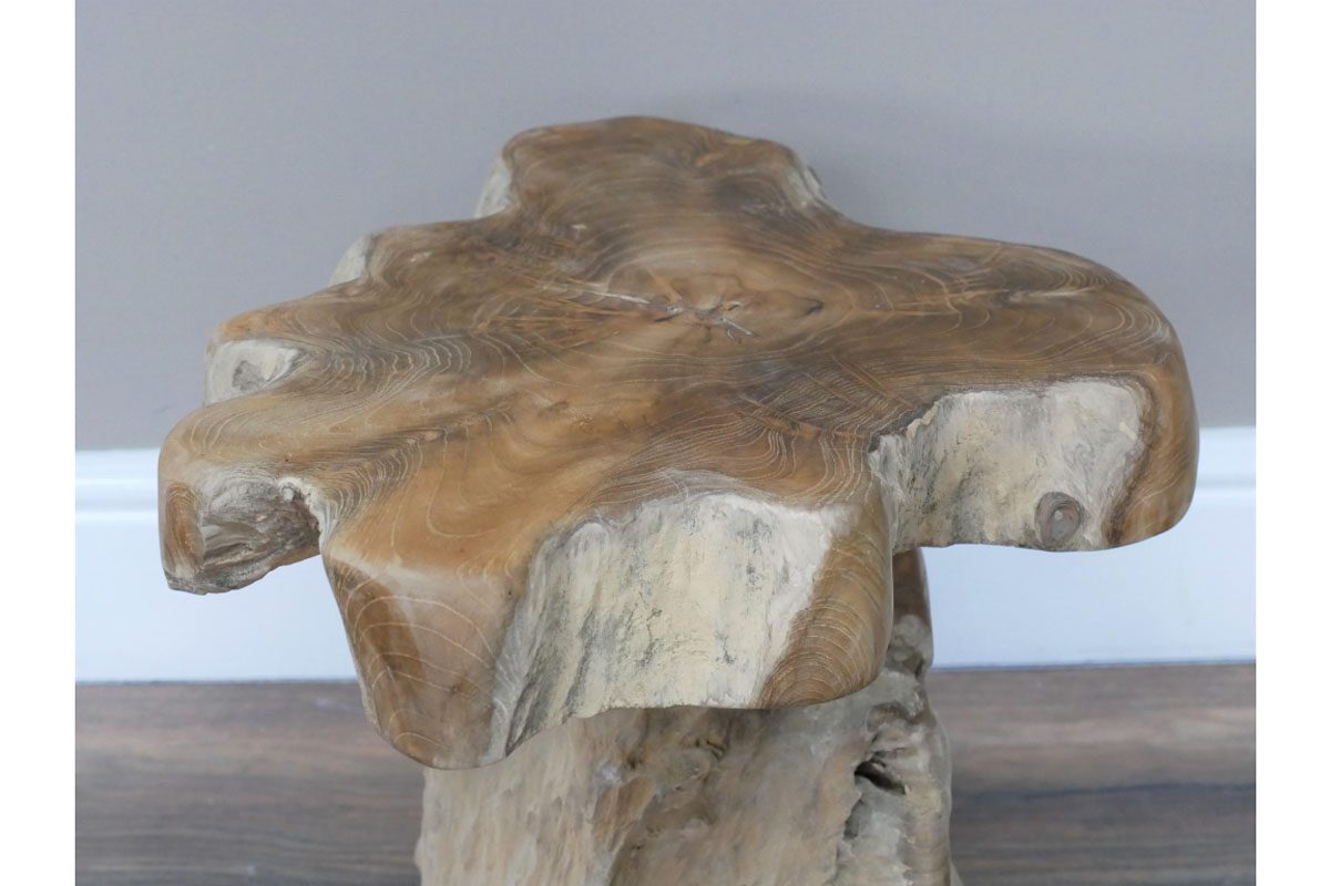 Root Side / Plant Stand