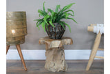 Root Side / Plant Stand