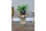Root Side / Plant Stand - 8836