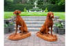 Rusty Pair Of Gun Dogs - 8839