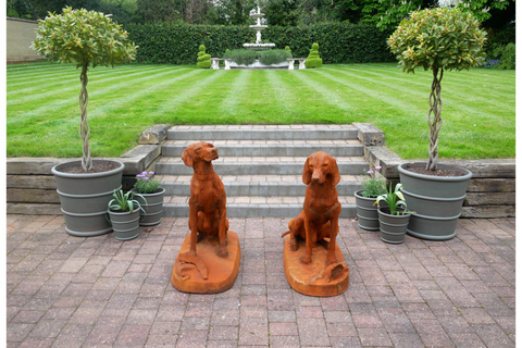 Rusty Pair Of Gun Dogs - 8839