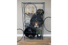 Retro Display Cabinet