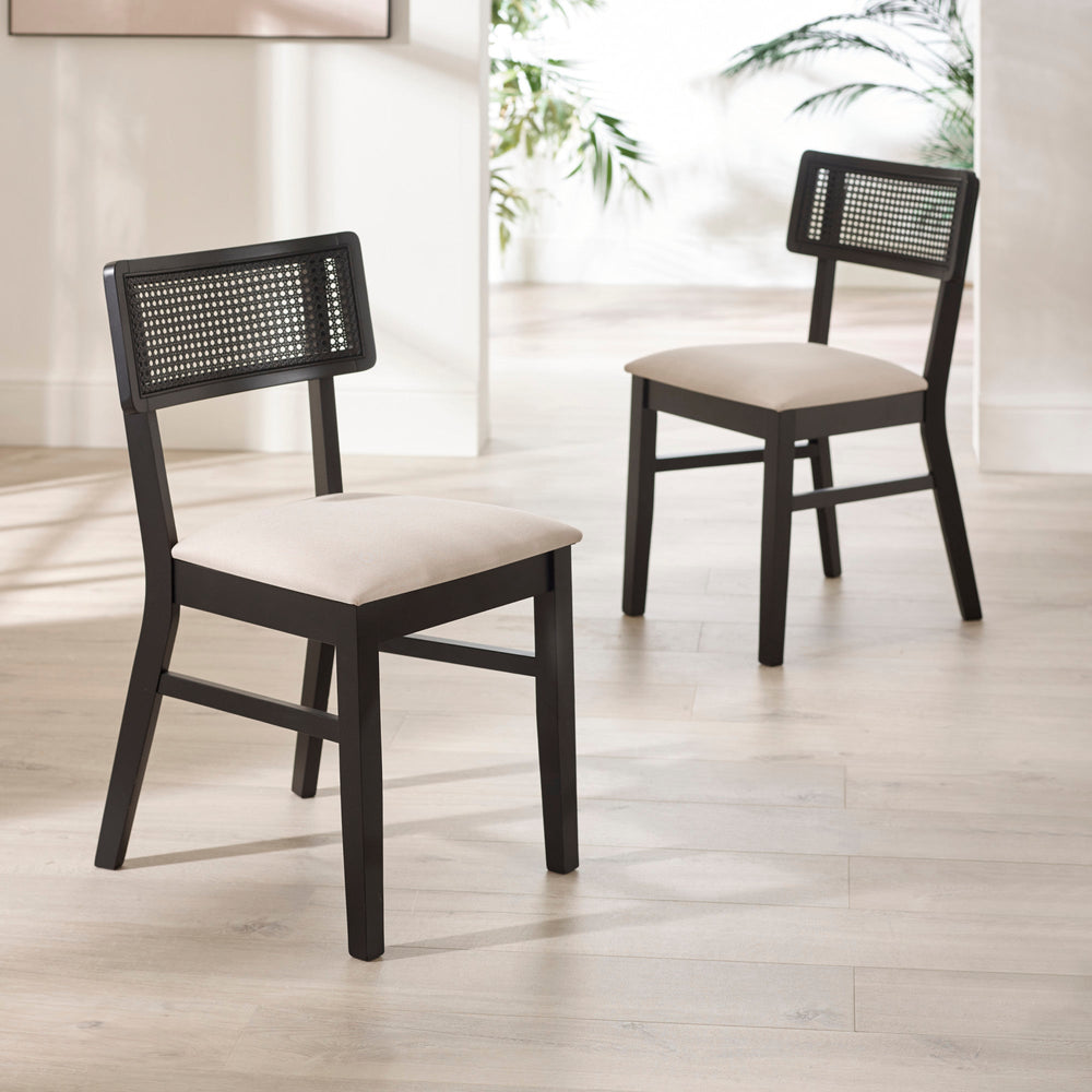 Two black dining chairs with natural fabric seats and rattan backs placing diagonally in bright room with plants