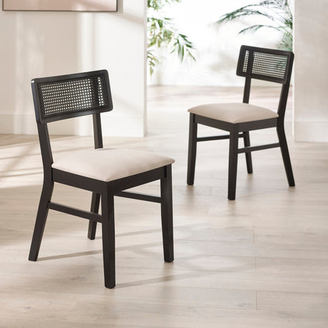 Two black dining chairs with natural fabric seats and rattan backs placing diagonally in bright room with plants