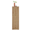 Austin 2 Door & 1 Drawer Narrow Cabinet