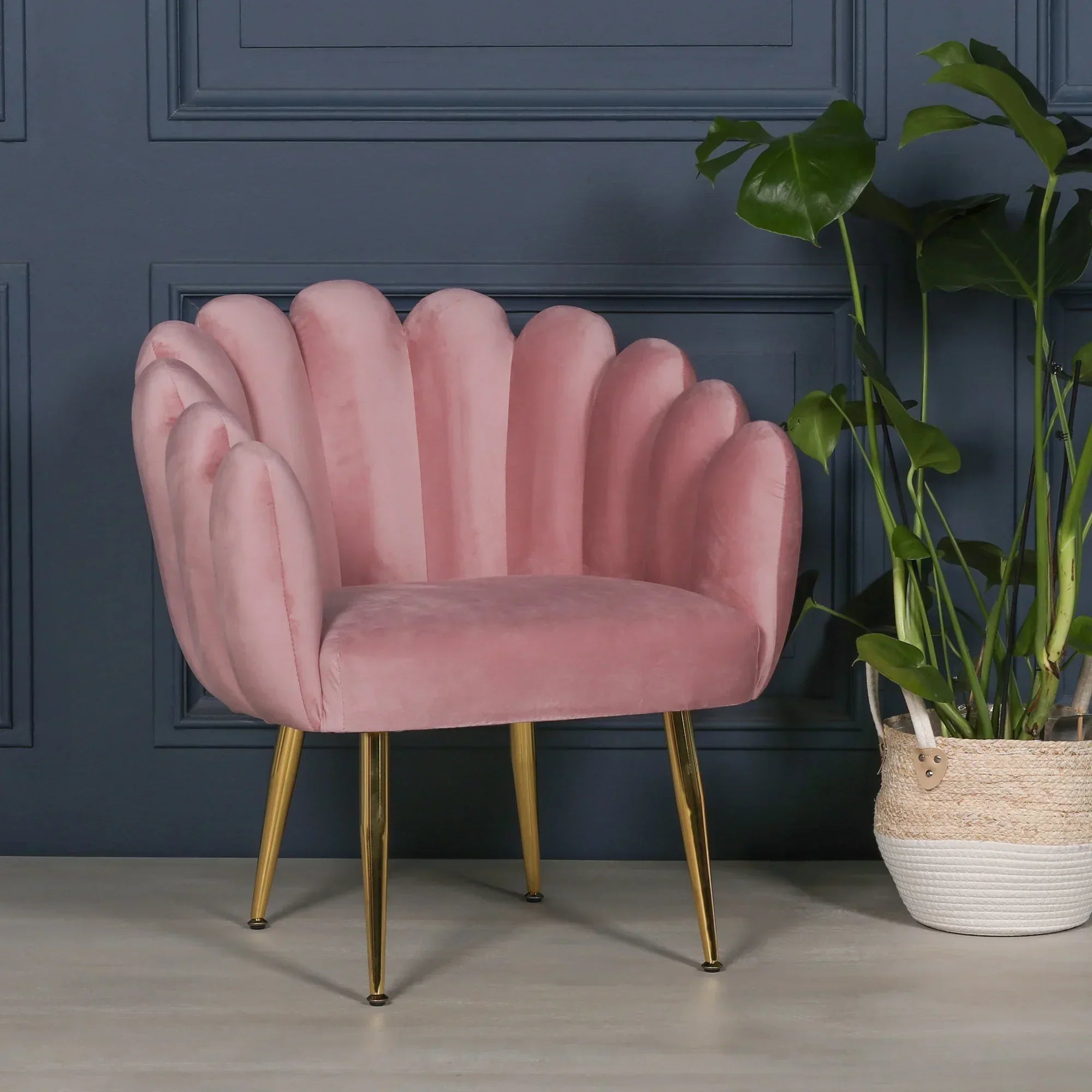 Pink velvet accent chair with gold legs beside a potted plant against blue panel wall
