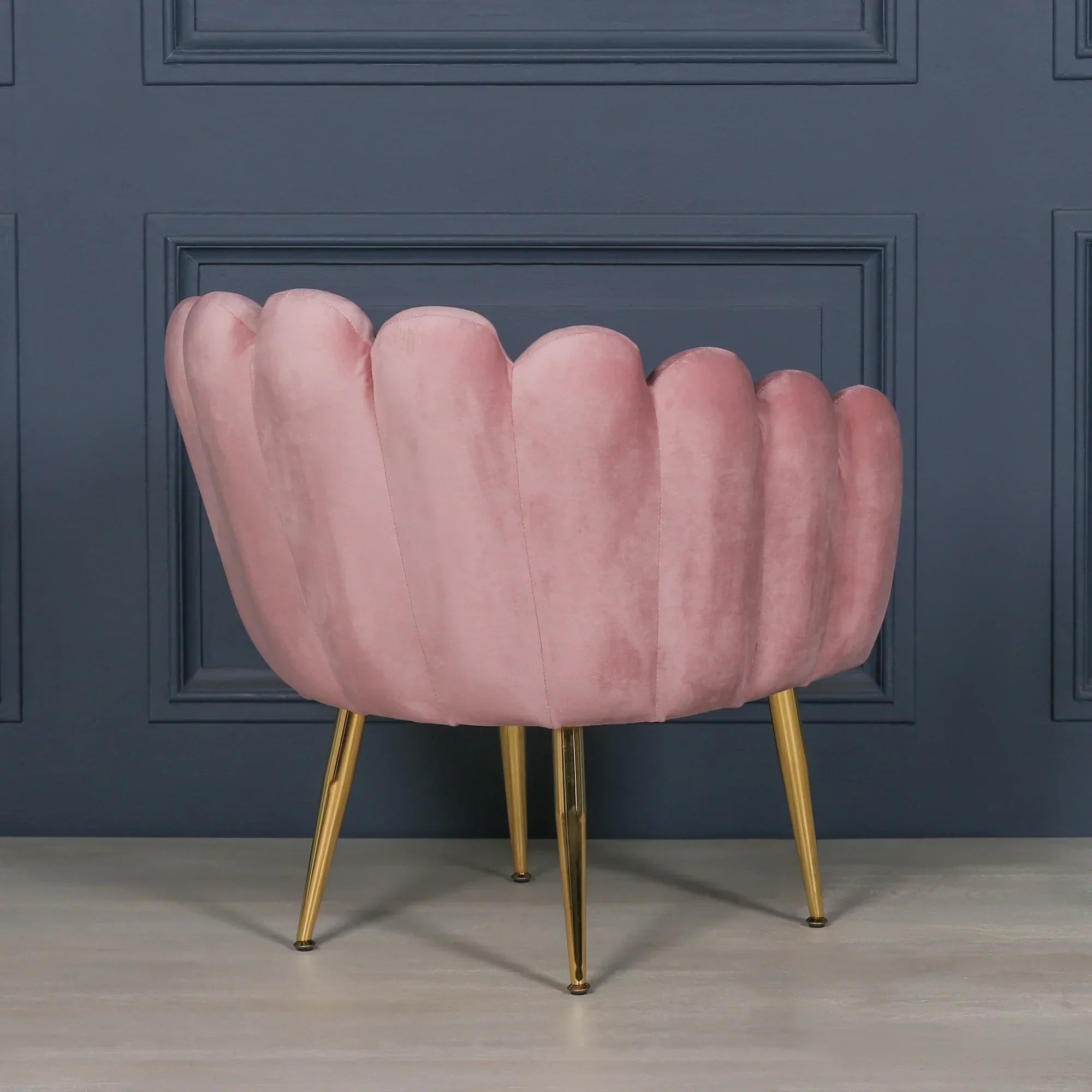 Pink velvet accent chair with scalloped back and gold legs against dark blue wall