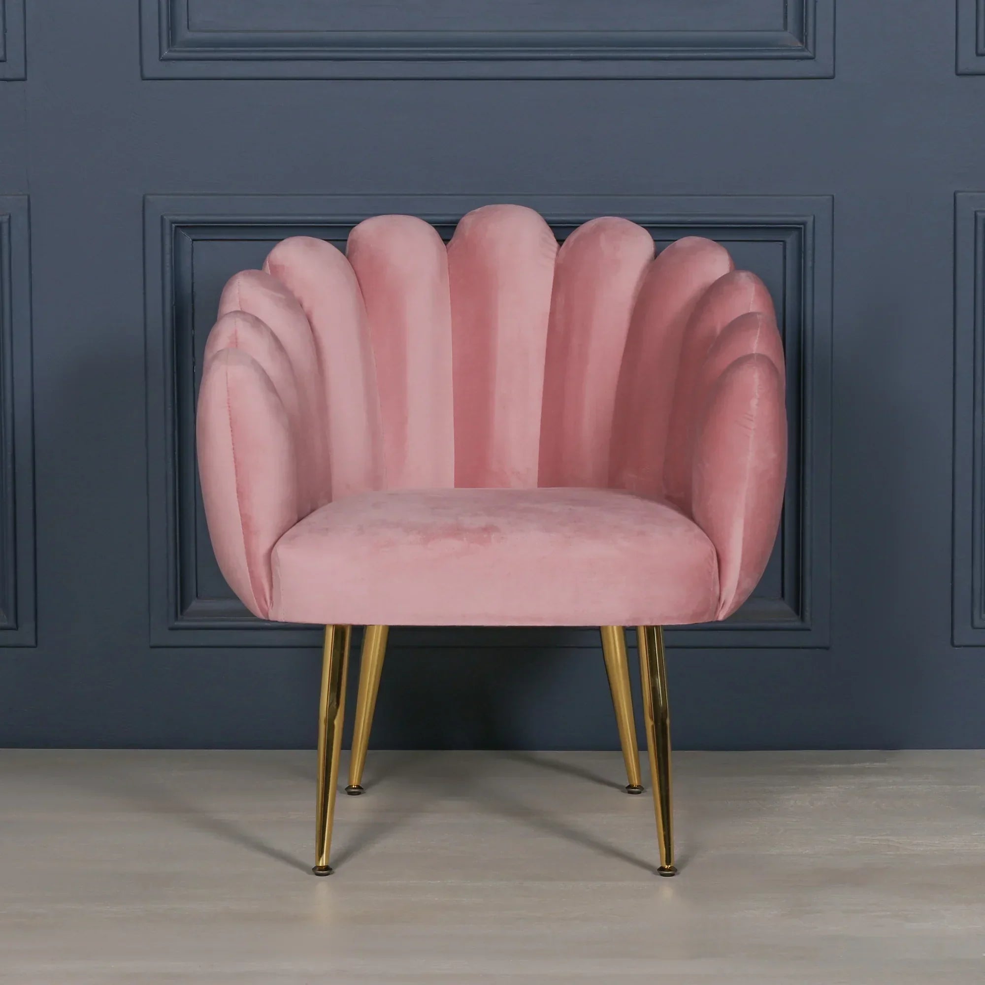 Pink velvet accent chair with scalloped back and gold metal legs against dark panelled wall