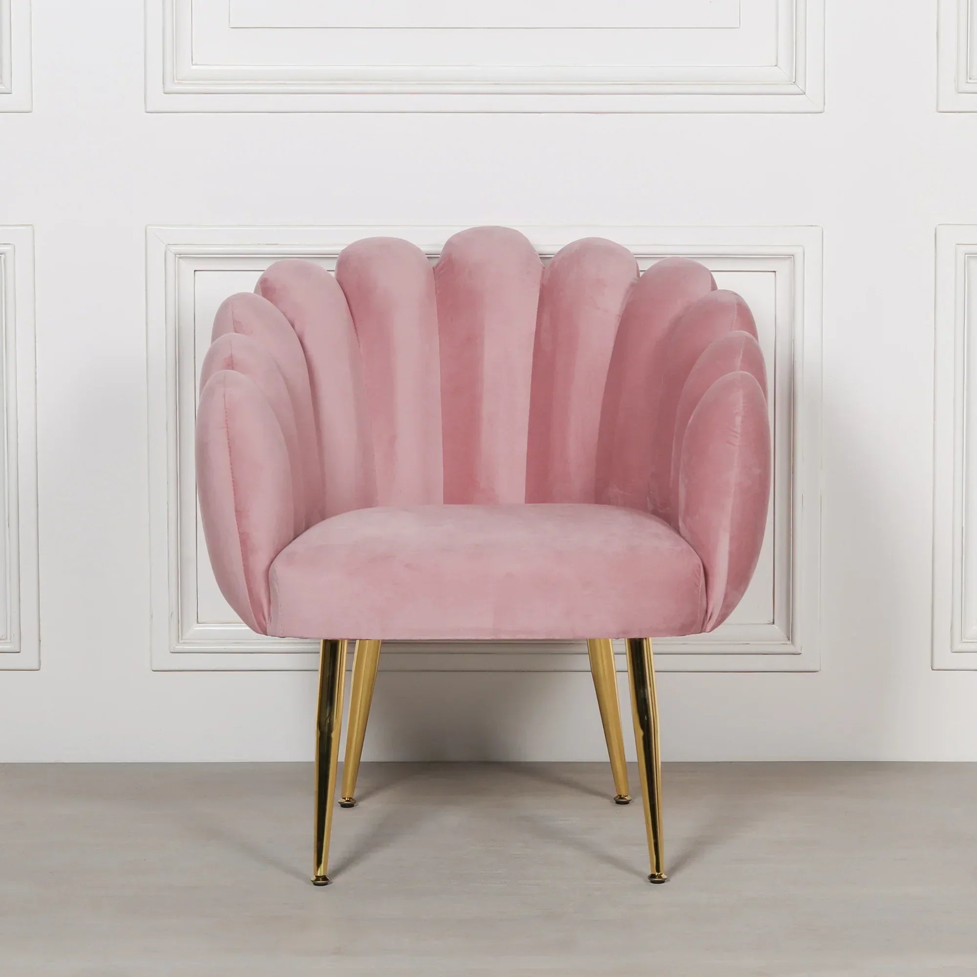 Pink velvet accent chair with scalloped backrest and gold metal legs against white wall