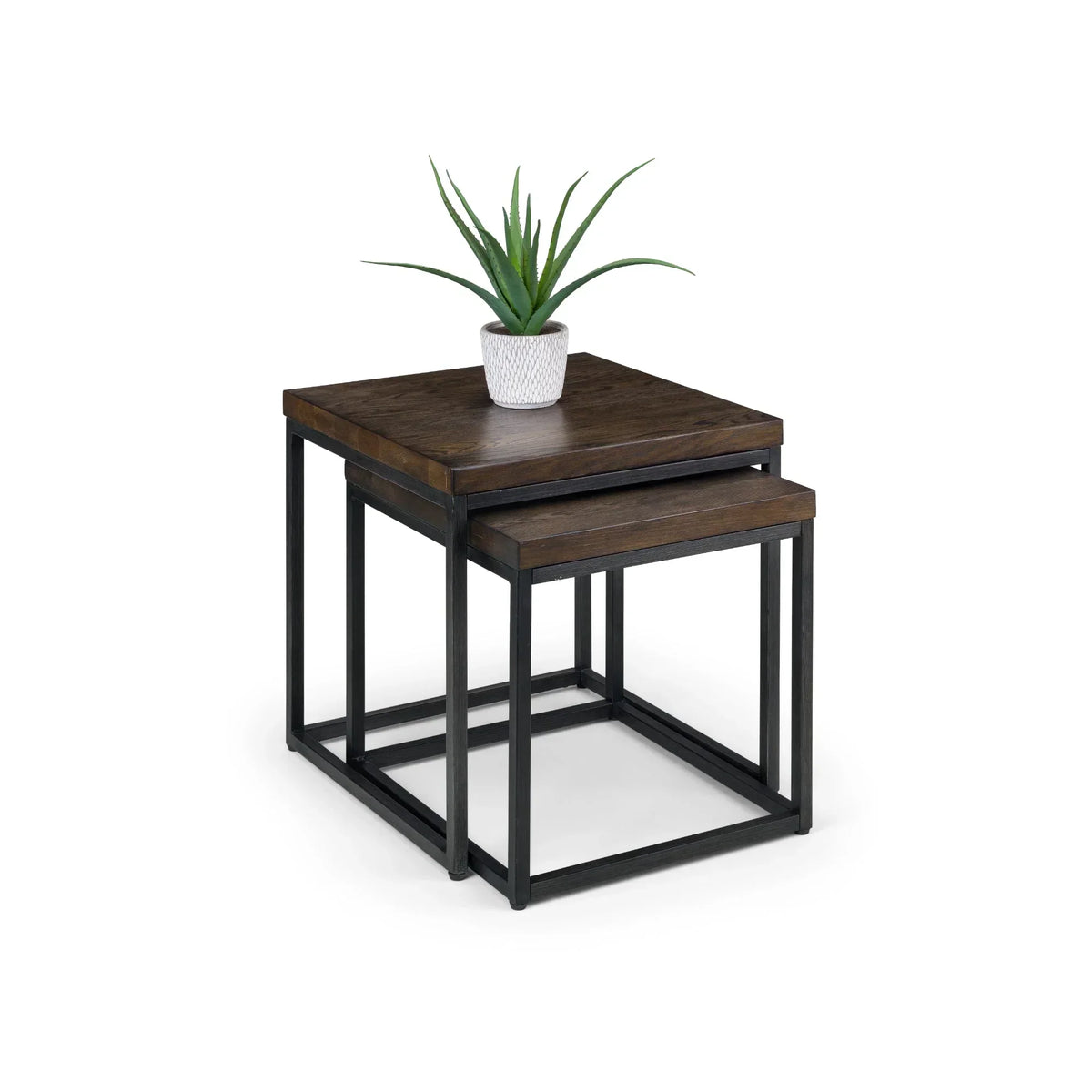 Dark oak nesting lamp tables with metal legs and potted plant on top, white background