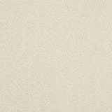 Beige ceramic tile surface with fine textured finish, close-up detail view