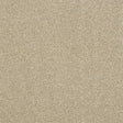 dark ecru sofa fabric swatch with textured weave