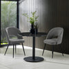 Ella Dining Chair (Set of 2) - Beige - ELL011