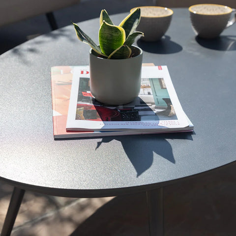 Round outdoor table with plant in ceramic pot, magazines, and two mugs in sunlight
