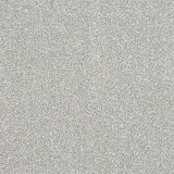 Light grey carpet texture sample for flooring selection or interior inspiration