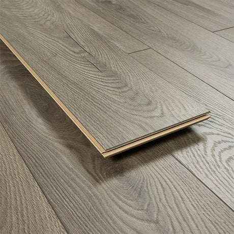 Exquisite Fossil Oak