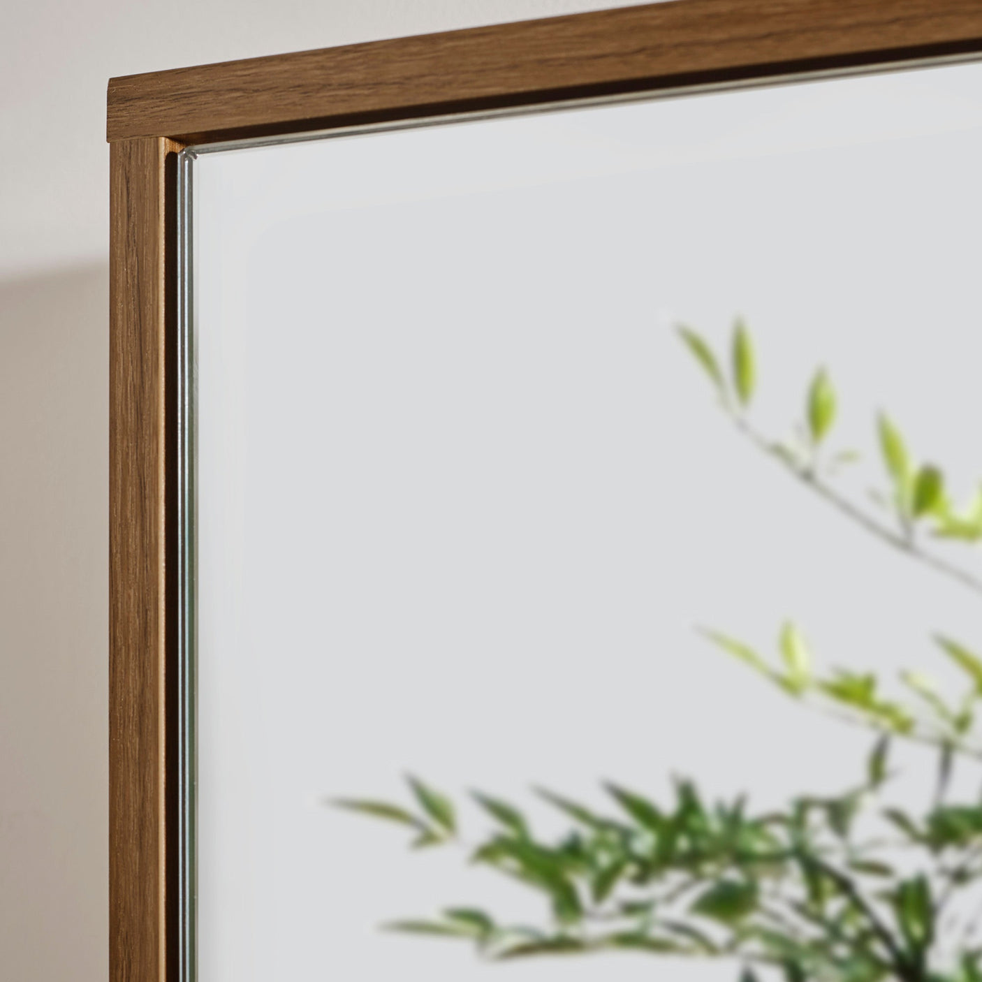 Close-up of cabinet corner showing brown wood frame and reflected green plant in mirrored door.