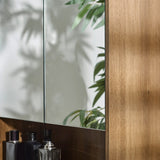 Partial close-up of bathroom cabinet showing mirrored doors reflecting leafy green plant and wood grain frame.