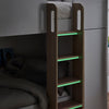 Horizon Bunk Bed - White and Light Brown - HOR201