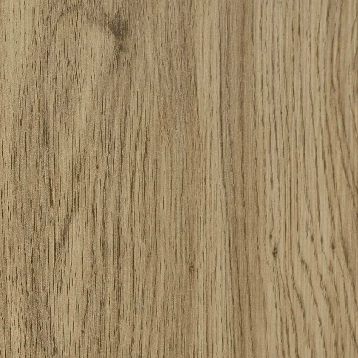 oak wood grain furniture panel with natural light brown finish