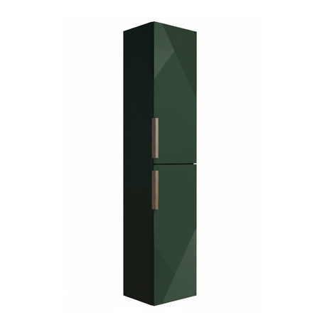 Green cabinet with two doors on a white background
