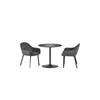 Lima Dining Chair (Set of 2) - Teal - LIM011
