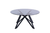 Modern Grey Tinted Glass Coffee Table for Stylish Living Rooms