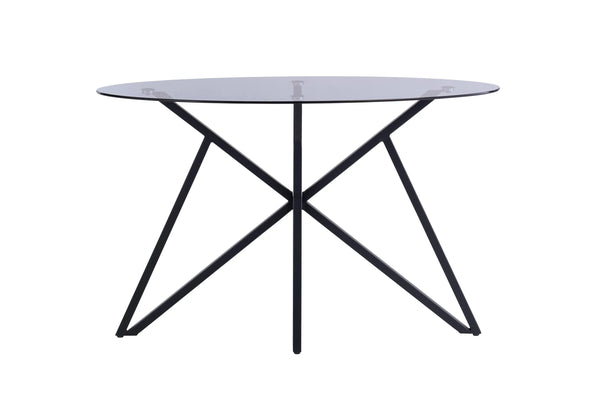 Elegant Grey Tinted Glass Console Table for Modern Interiors