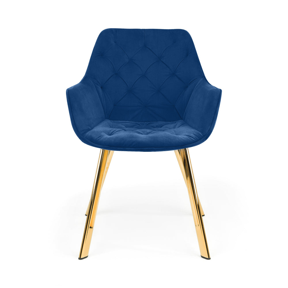 Lorenzo Dining Chair (Set of 2) - Blue - LOR004