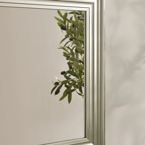 Silver wall mirror with grooved frame reflecting green leafy plant