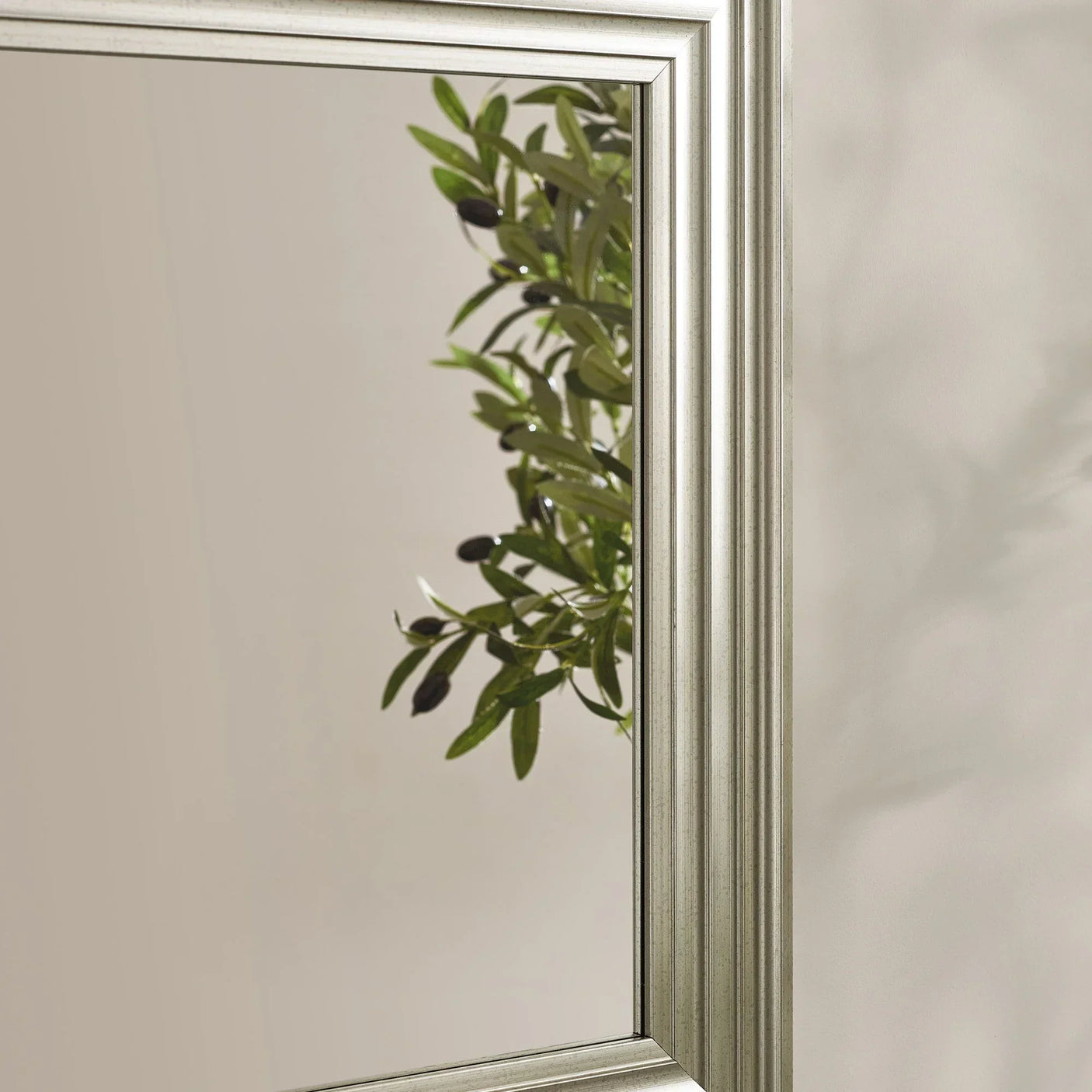 Silver wall mirror with grooved frame reflecting green leafy plant